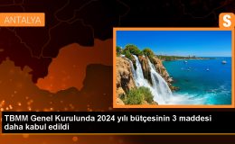 TBMM Genel Kurulunda 2024 yılı bütçesinin 3 maddesi daha kabul edildi