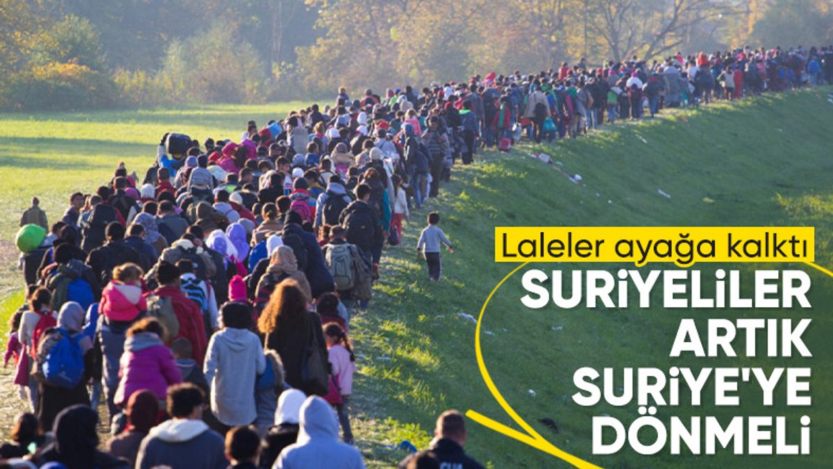 Hollanda, Suriyeli mültecileri ülkelerine geri gönderecek