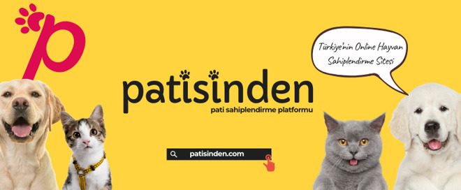 Köpek ilanları ve Kedi ilanları Nasıl Hazırlanır